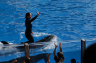 thumbs/seaworld 037.png